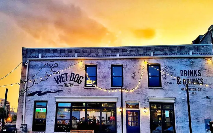 Wet Dog Tavern